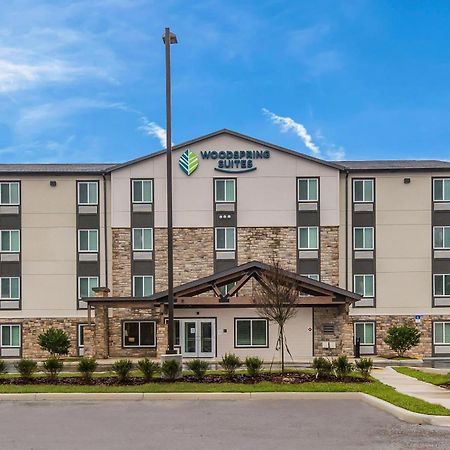 Woodspring Suites Tampa Airport North Veterans Expressway Екстер'єр фото